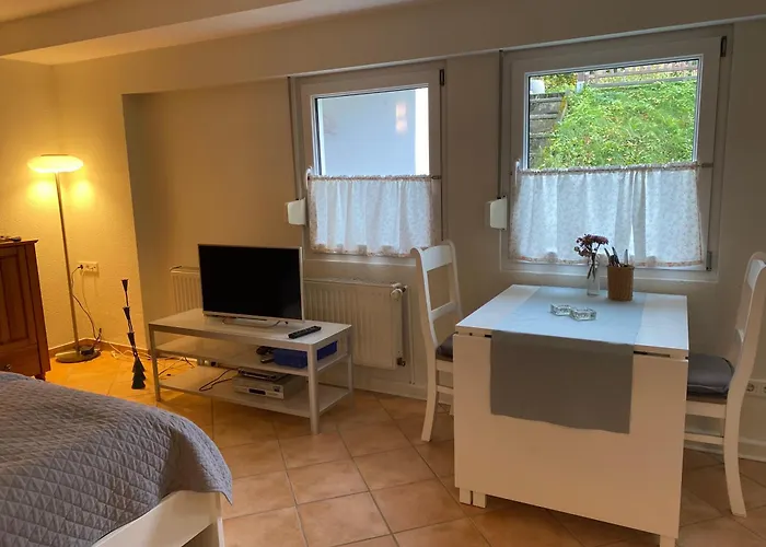 Appartamento Einzimmer-apartment Nahe Messe